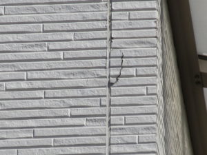 外壁サイディング欠損